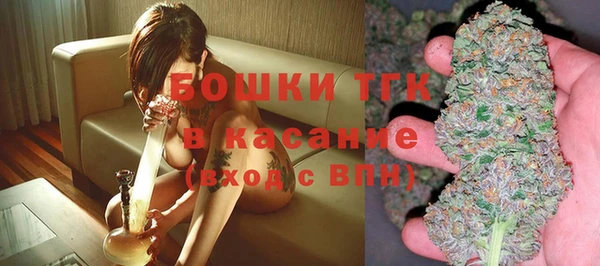 хмурый Арсеньев